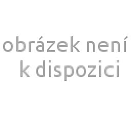 Obrázek pro produkt Knoflíková kanyla 1,0 x 80 mm, zahnutá, B, LL, 50ks