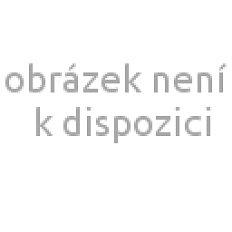 Obrázek pro produkt Button cannula 1.0 x 80 mm straight A, LL, 50pcs