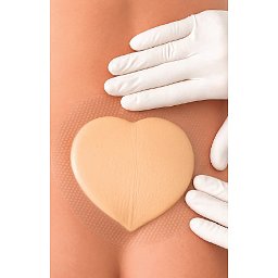 Obrázek pro produkt Clevesil border sacrum